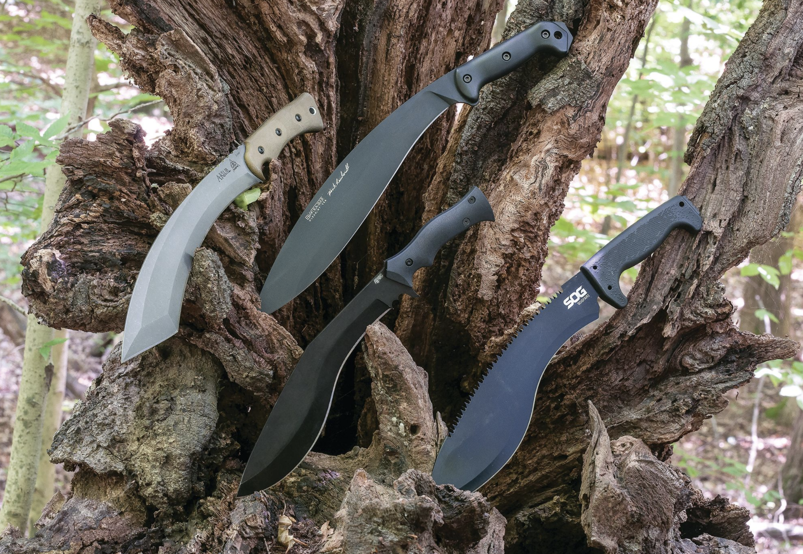 Unveiling the Elite Discover the Top 10 Knives in the World!